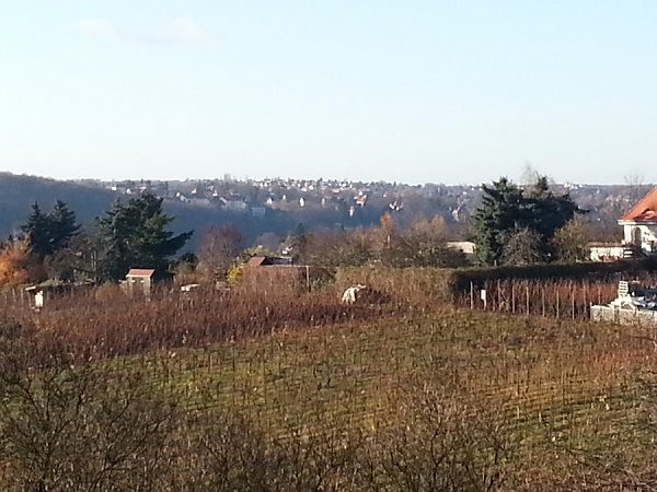 Blick vom Sitzplatz unter Baum